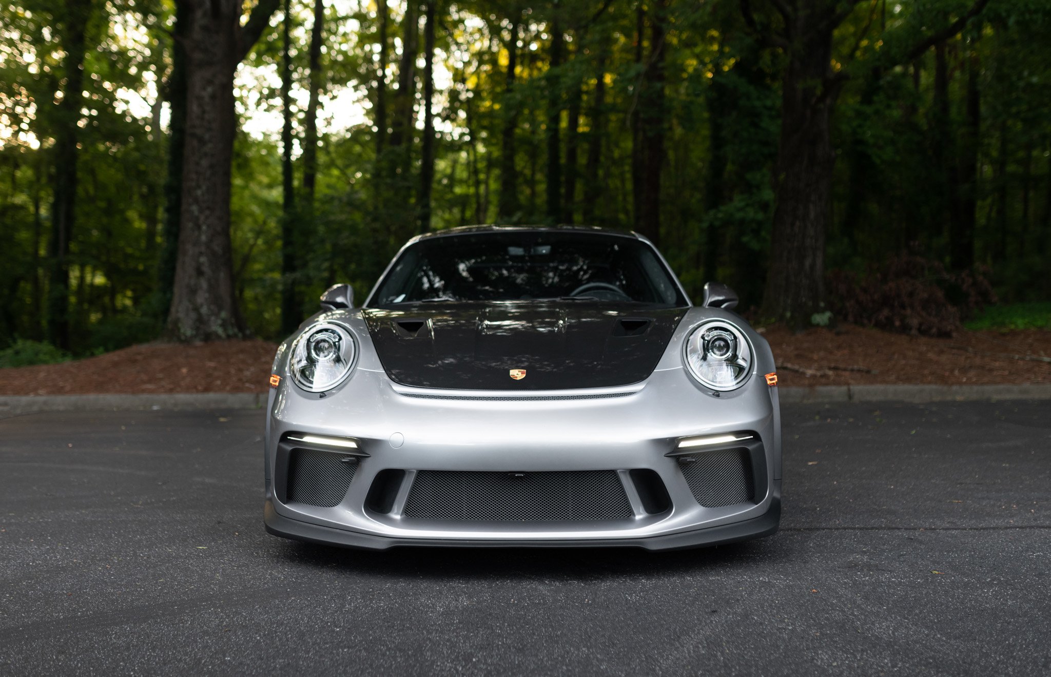 2019 Porsche GT3RS (991.2)